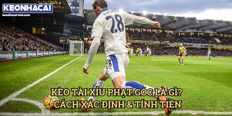Kèo Tài Xỉu Phạt Góc Keonhacai viet – Hướng Dẫn Đọc Kèo & Đặt Cược Hiệu Quả 1 Kèo Tài Xỉu Phạt Góc Là Gì? Cách Xác Định & Tính Tiền